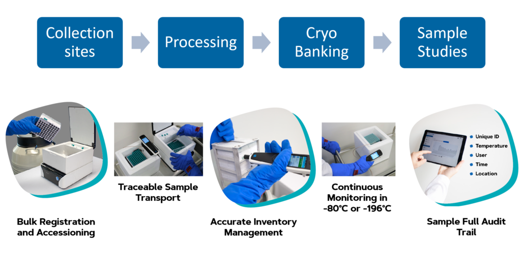 Bluechiip Workflow Benefits